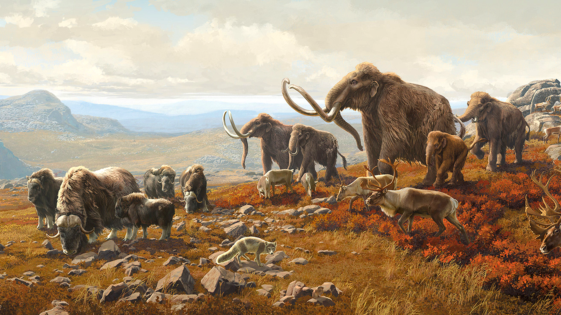 Ice age fauna of northern Spain