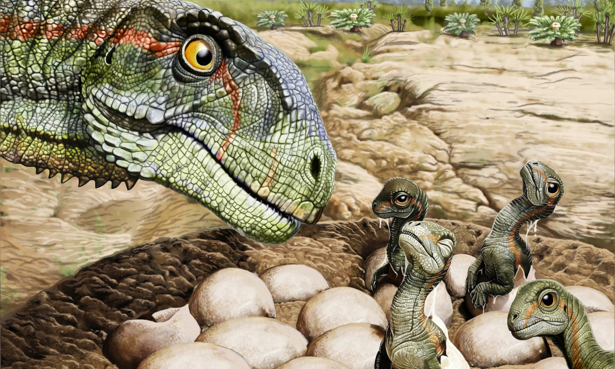 Artistic reconstruction of a nest of Mussaurus patagonicus with hatchlings and an adult parent. (Image credit: Jorge Gonzalez)