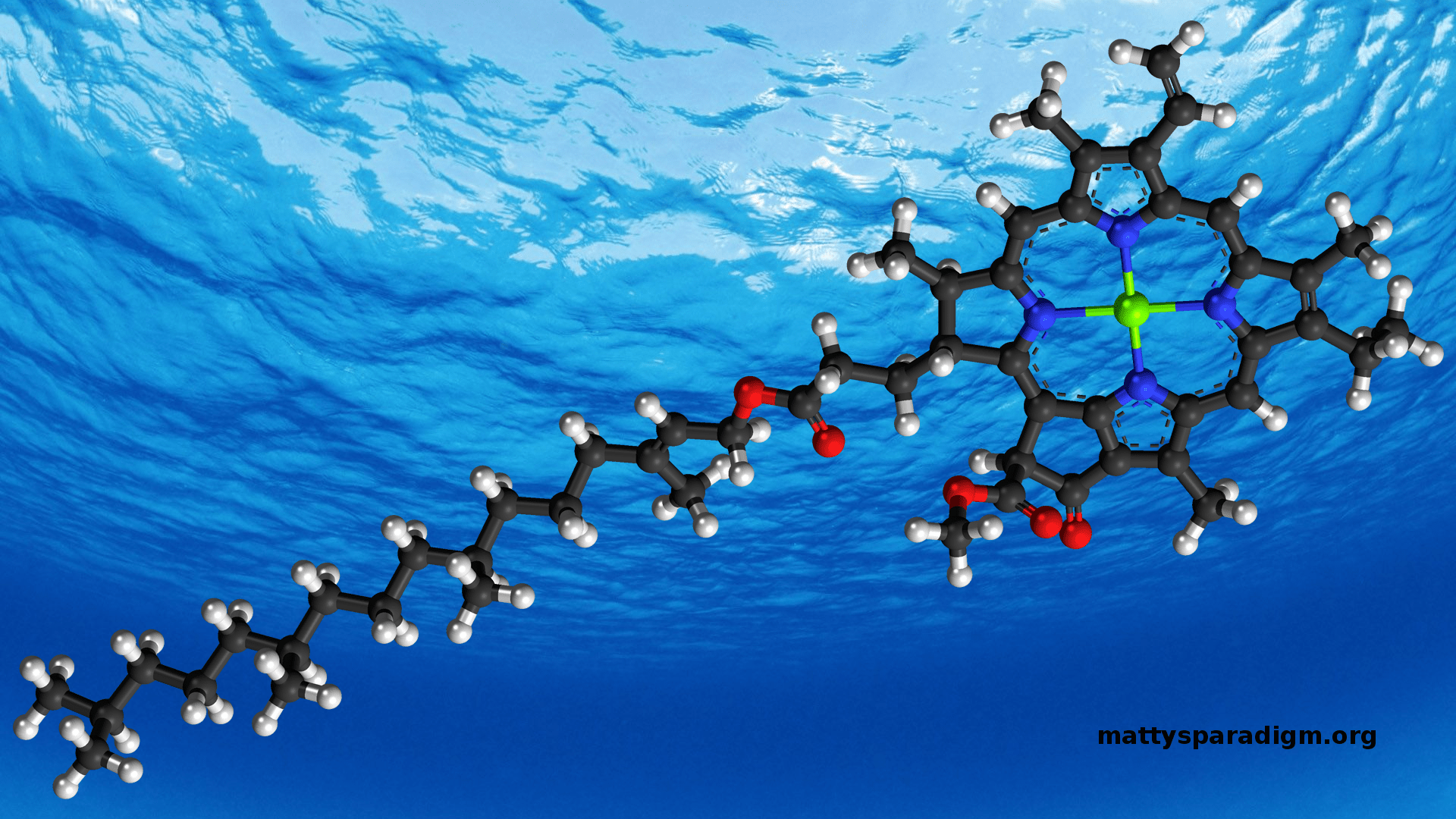 A stylized Chlorophyll molecule