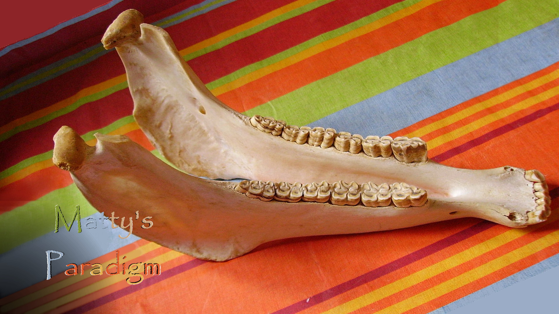 a jawbone