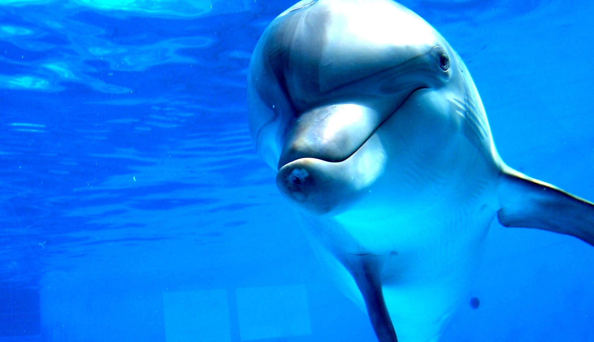 Matty's Paradigm a unified theory of everything