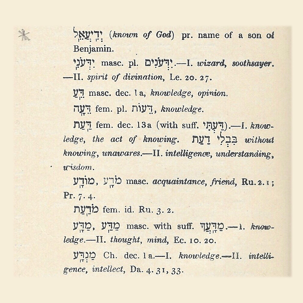 Davidson Analytical Hebrew and Chaldee Lexicon page CCXCVIII