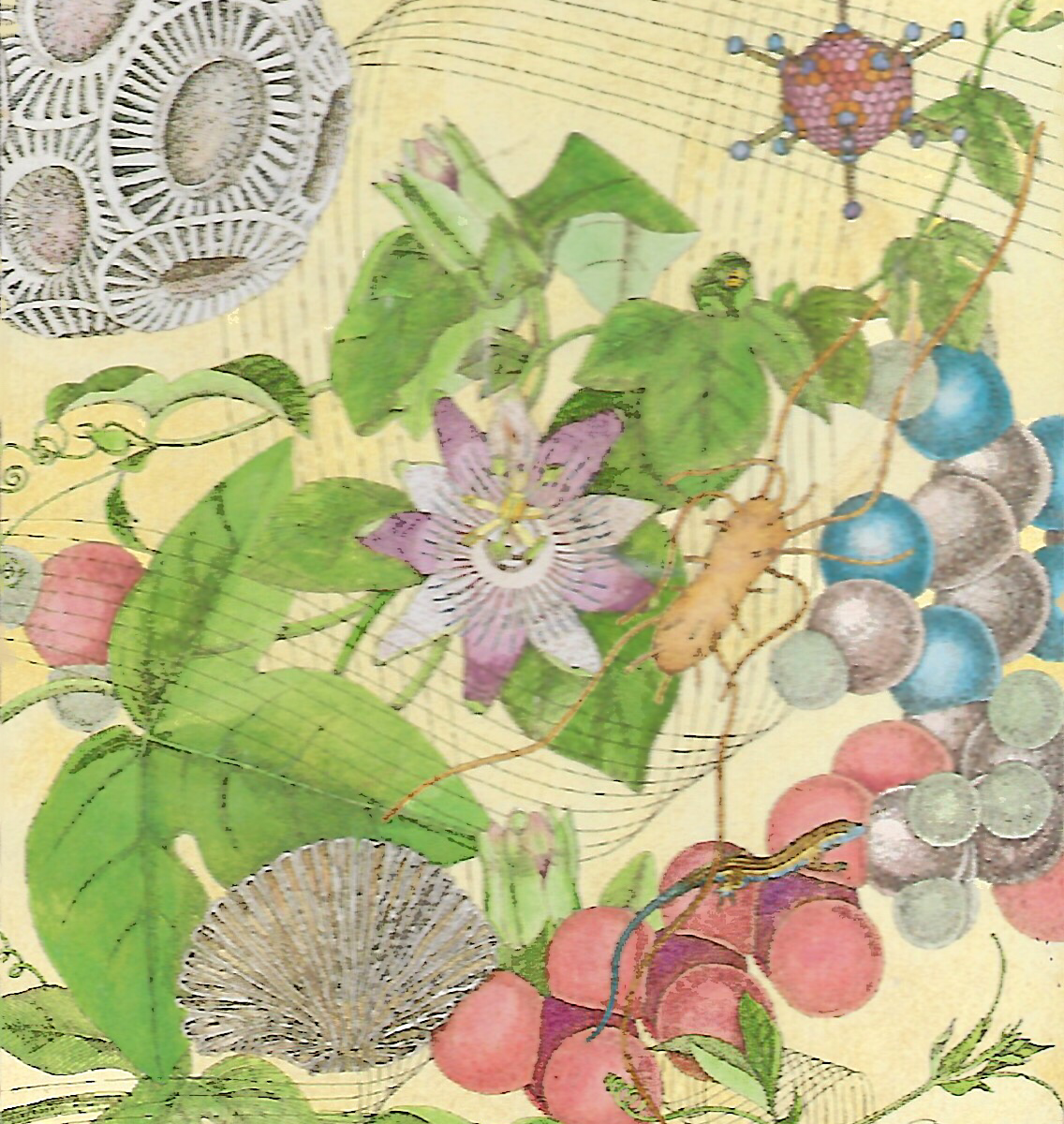 The botanically accurate floral art of Ippy Patterson including passion flower