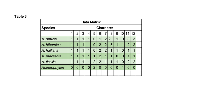 lawrence-1991-archaeopteris-table-3-sheet1