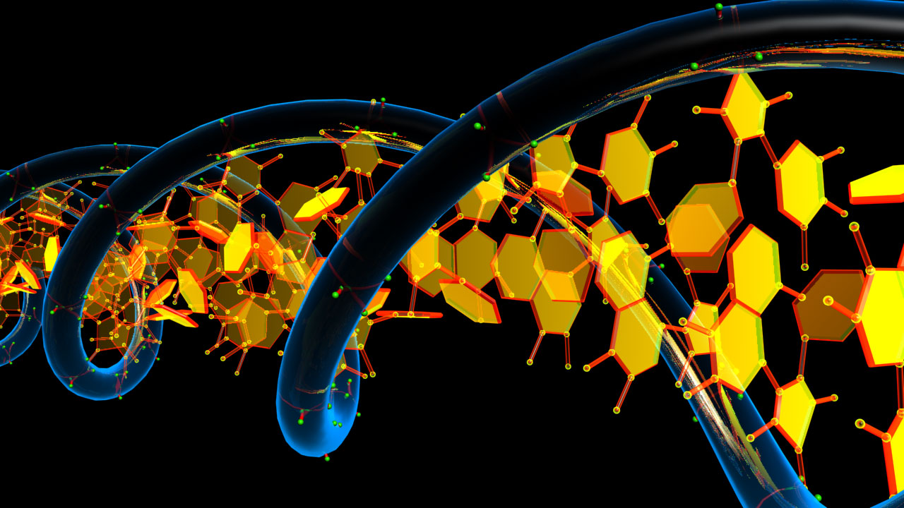 stylalized strand of a DNA molecule